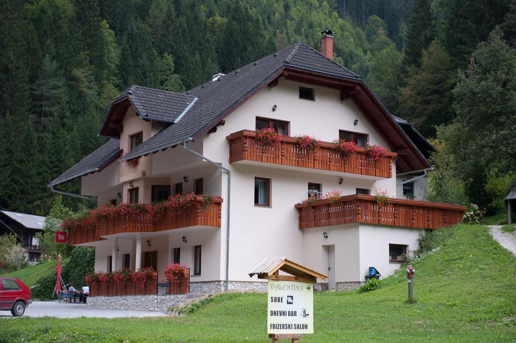 Prenocisca Valentina Apartment Solčava Екстериор снимка