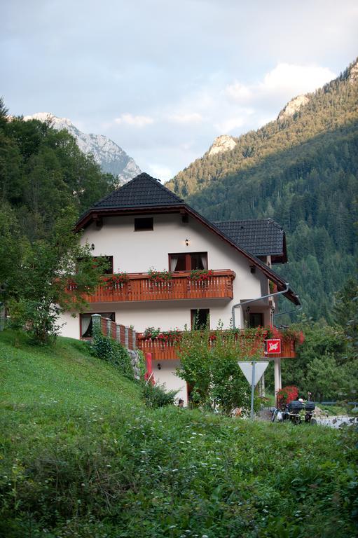 Prenocisca Valentina Apartment Solčava Екстериор снимка